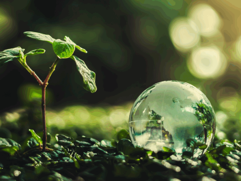 Study series “Future of Work” – Issue 3